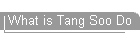 What is Tang Soo Do